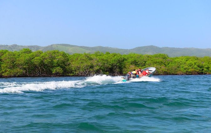 Private Tour to Paradise Island With Snorkel & Manatee Sanctuary - About Your Stay