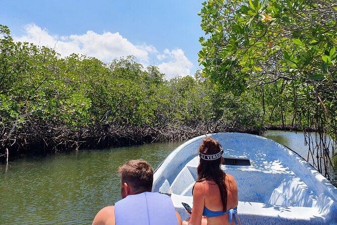Private Tour to Paradise Island With Snorkel & Manatee Sanctuary - Pickup and Scheduling