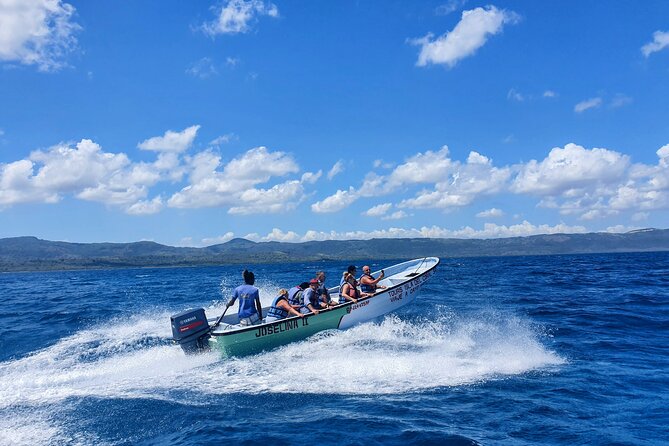 Private Tour to Paradise Island With Snorkel & Manatee Sanctuary - Local Cuisine and Drinks