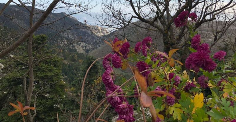 Private Tour To Parnitha and Mpafi Refuge Half Day - Tour Duration and Cancellation Policy