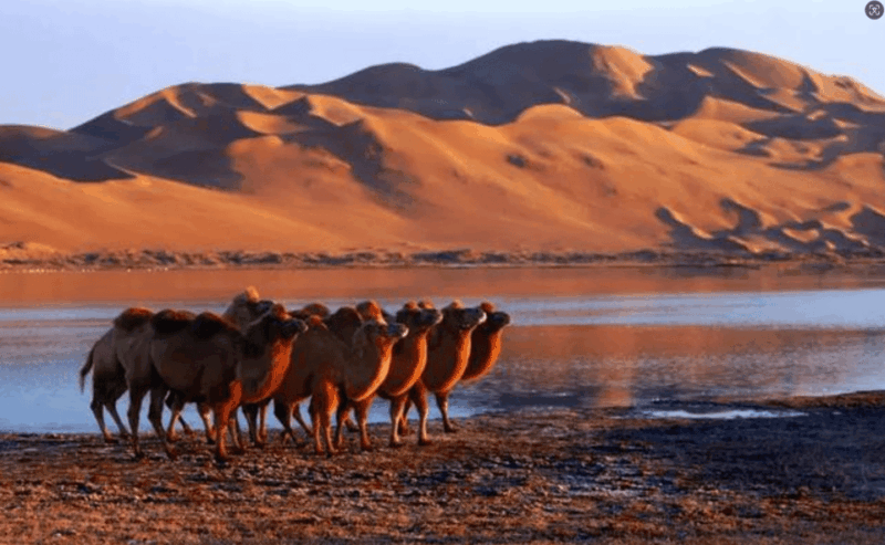 Private Tour to Pass Through Tengger Desert and Five Lakes - Tour Highlights