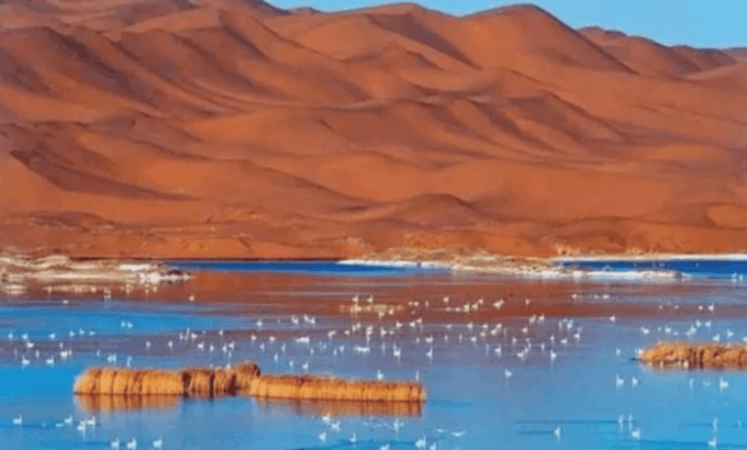 Private Tour to Pass Through Tengger Desert and Five Lakes - Guitar Lake