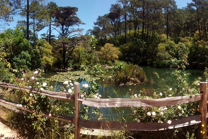 Private Tour to Pena, Initiatory Well, Cabo Da Roca & Cascais - Customer Feedback and Experiences