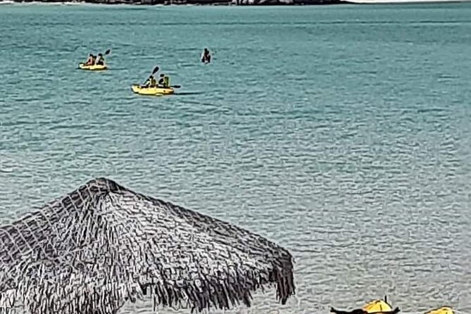 Private Tour to Playa Balandra La Paz and Todos Santos - Frequently Asked Questions