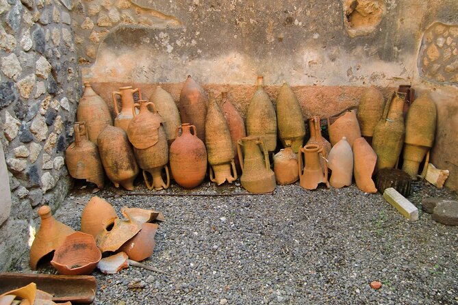 Private Tour to Pompeii From Naples With Hotel and Port Pick up - Reviews
