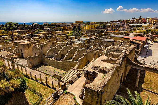 Private Tour to Pompeii Herculaneum and Vesuvius - Booking Flexibility and Payment