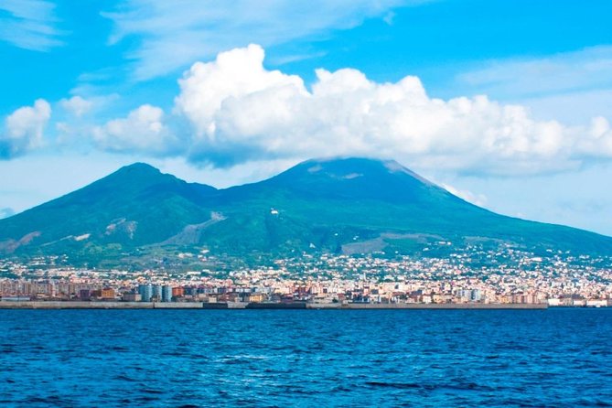 Private Tour to Pompeii Herculaneum and Vesuvius - Review Breakdown and Feedback