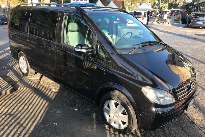 Private Tour to Pompeii, Sorrento and Positano Full-Day - Accessibility and Requirements