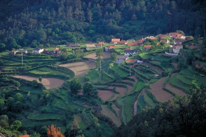 Private Tour to Ponte De Lima, Vinho Verde Region - Guided Winery Visits