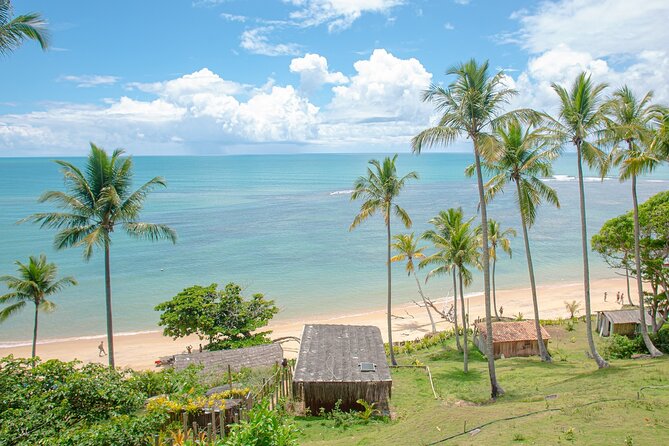 Private Tour to Praia Do Satu and Caraíva - Praia Do Satu Highlights