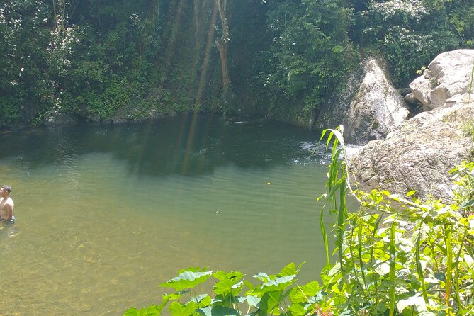Private Tour to Pristine Swimming Hole In Puerto Rico Jungle - Exploring the Pristine Swimming Hole