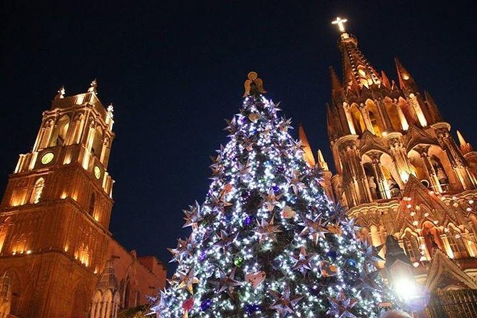 Private Tour to Queretaro and San Miguel De Allende Leaving the CDMX - Company Commitment and Response