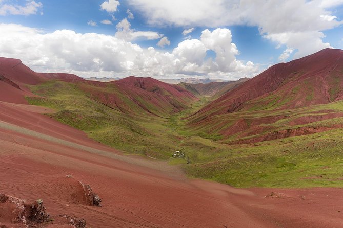 Private Tour to Rainbow Mountain Full Day From Cusco. - Wildlife Encounters