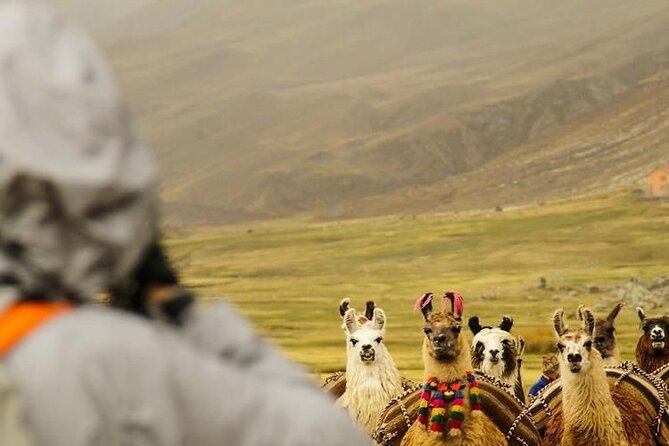 Private Tour to Rainbow Mountain With ATV - Customer Reviews