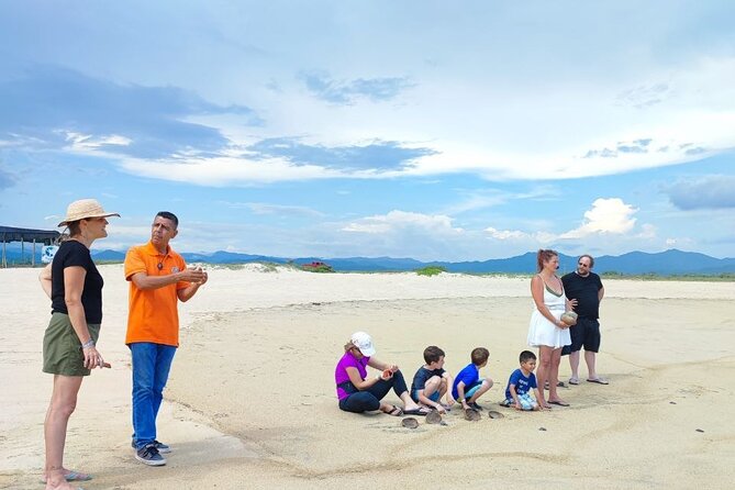 Private Tour to Release Turtles With Tickets Included - Pickup Information