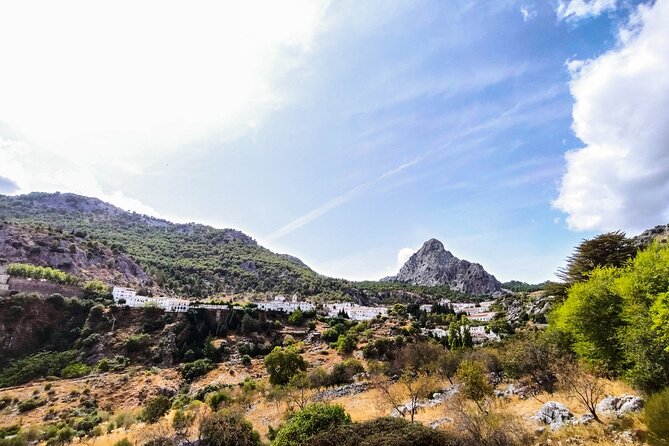 Private Tour to Ronda From Seville (Several Options) - Guided Storytelling Experience
