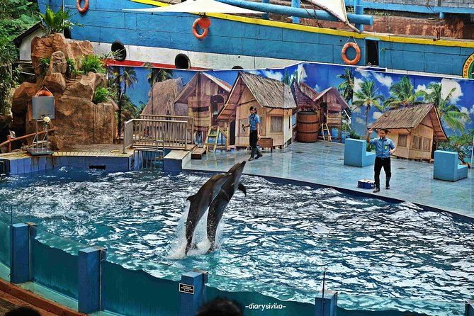 Private Tour To Safari Park & Waterfall (From Surabaya/Malang) - Taman Safari Prigen