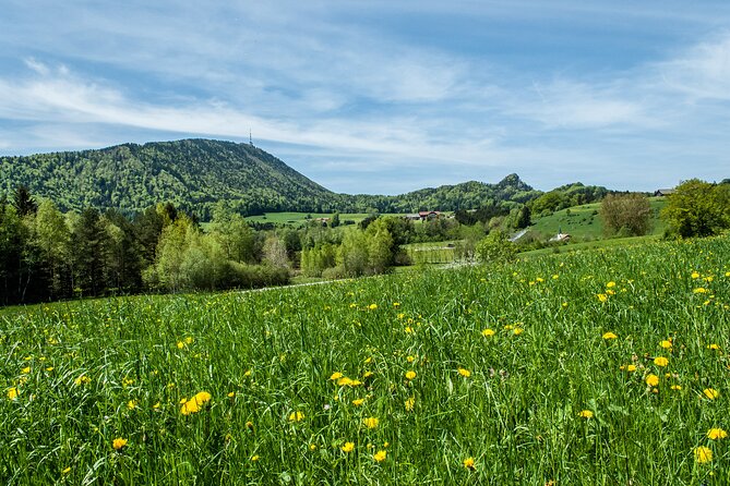Private Tour to Salzburg for River Cruise Passengers - Passau or Linz - Pickup and Start Time