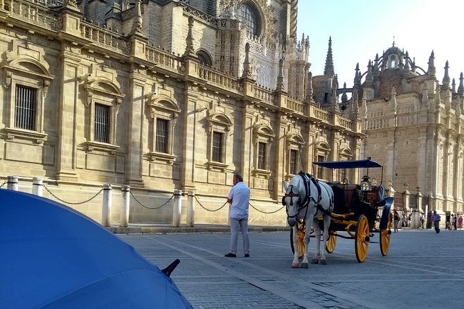 Private Tour to Sevilles Cathedral - Highlights of the Tour