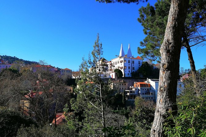 Private Tour to Sintra & Pena Palace, Cascais & Roca - Traveler Feedback