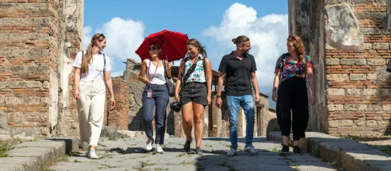 Private Tour to Sorrento Coast Pompeii and Vesuvius - Transportation and Pickup