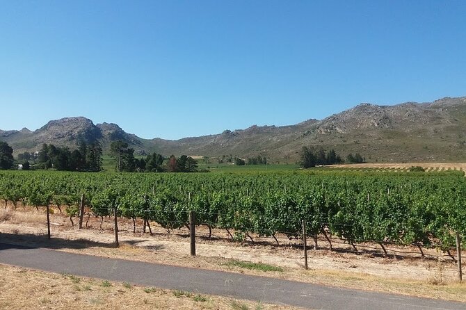 Private Tour to Stellenbosch Franschoek Wineries From Cape Town Price per Group - Accessibility and Participation