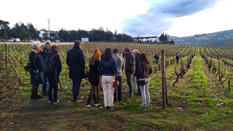 Private Tour to Stunning Douro Valley and Renowned Wineries - Cultural and Scenic Experience