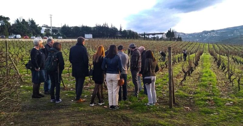 Private Tour to Stunning Douro Valley and Renowned Wineries - Transportation and Inclusions