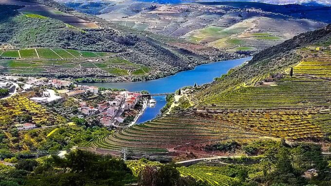 Private Tour to Stunning Douro Valley and Renowned Wineries - Visiting Provesende