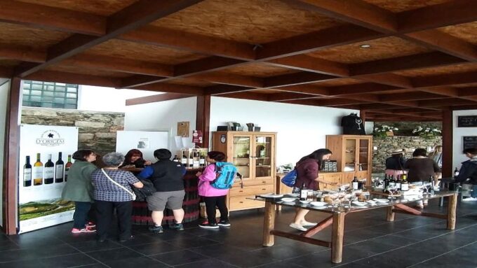 Private Tour to Stunning Douro Valley and Renowned Wineries - Optional Viewpoint and Town