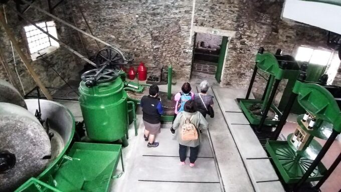 Private Tour to Stunning Douro Valley and Renowned Wineries - Wildlife Viewing at Régua