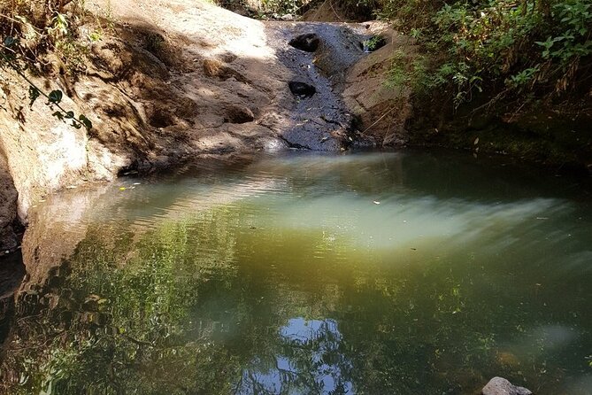 Private Tour to Suba Forest and Highest Peak With Lunch - Customer Reviews