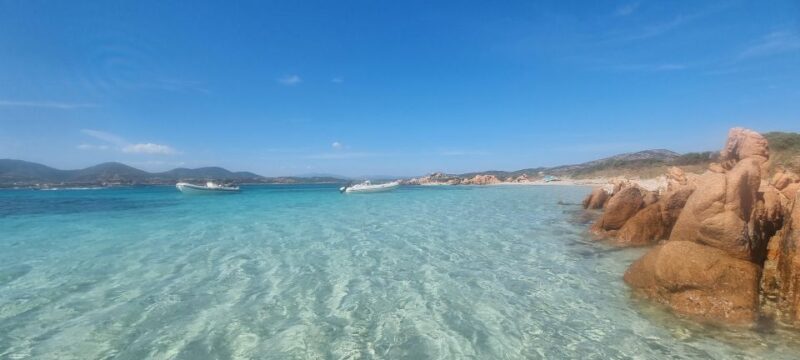 Private Tour to Tavolara and Molara Half Day - Itinerary Highlights