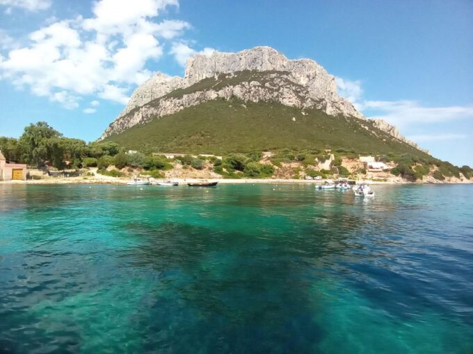 Private Tour to Tavolara and Molara Half Day - Price and Inclusions