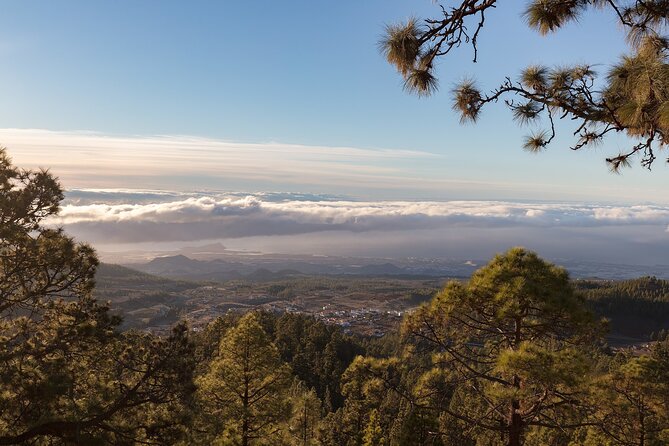 Private Tour to Teide in a Luxury Vehicle - Additional Information