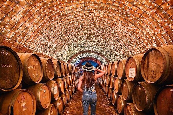 Private Tour to Tequila Unique Experience Price Groups of up to 4 - Meeting and Pickup