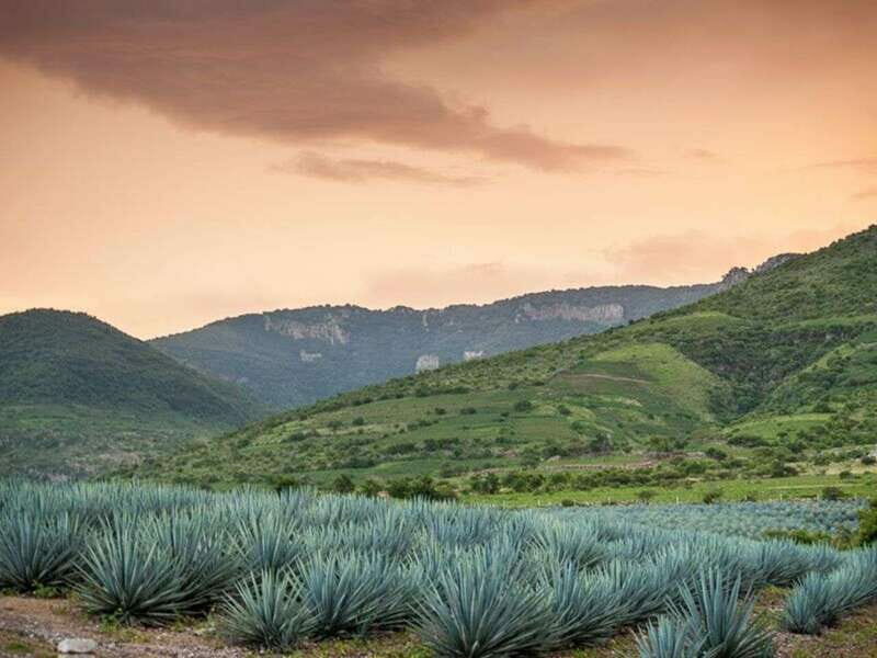 Private Tour to Tequilera Corralejo and Piramides Zone - FAQ