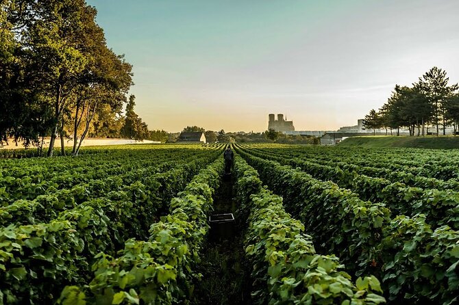 Private Tour to the Best Champagne Wineries From Paris - Booking Details