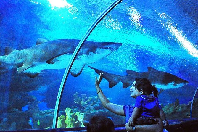 Private Tour to The Best of Animal Attractions in Kuala Lumpur - Kuala Lumpur Bird Park
