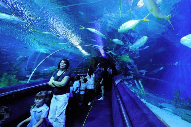 Private Tour to The Best of Animal Attractions in Kuala Lumpur - Additional Information