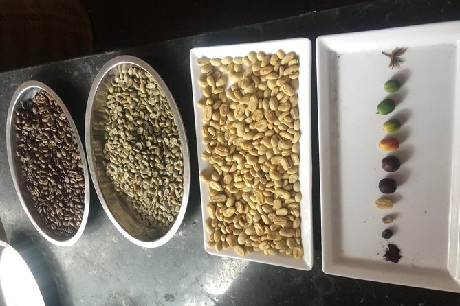 Private Tour to the Hacienda Cafetera - Coloma - Colombian Typical Lunch and Tasting