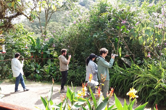 Private Tour to the Hummingbird Reserve and Visit to the Middle of the World From Quito - Exploring the Hummingbird Reserve