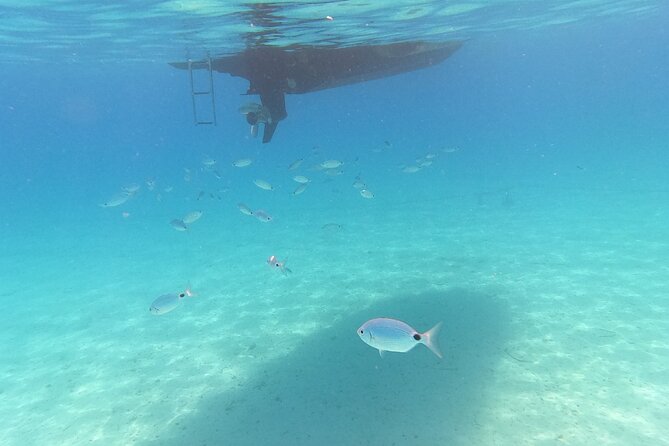 Private Tour to the Islands of Ugljan, OšLjak, and Preko From Zadar - Included in the Tour