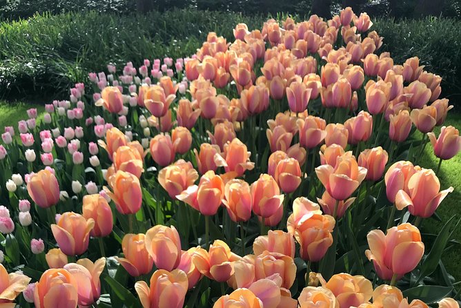 Private Tour to the Keukenhof - Convenient Transportation Options