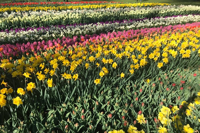 Private Tour to the Keukenhof - Tour Availability and Schedule
