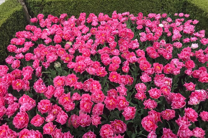 Private Tour to the Keukenhof - Inclusions and Pricing Details