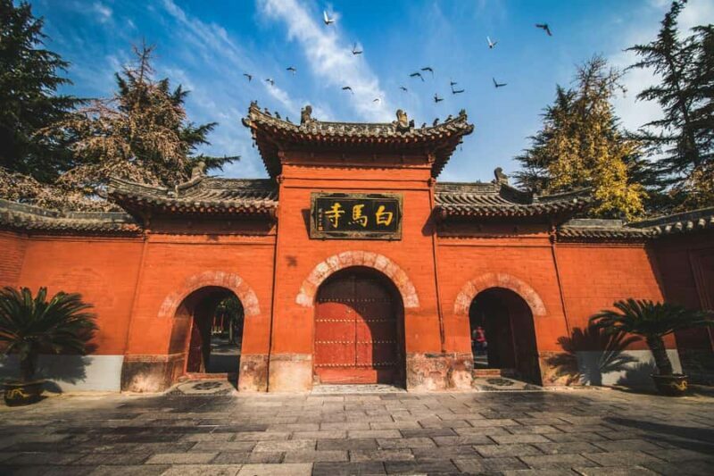 Private tour to the Longmen Grottoes and White Horse Temple (Baima) - Final Thoughts