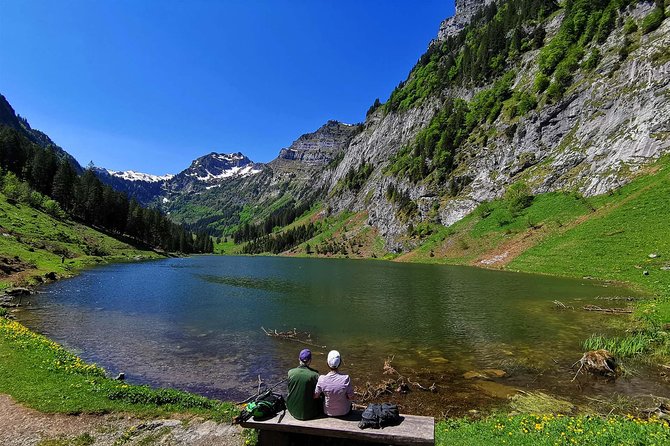 Private Tour to the Most Breathtaking Insider Spots in Switzerland (1 Day) - Expert Guides Local Knowledge