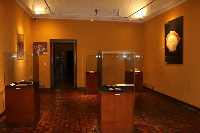 Private Tour to the Museum of Andean Sanctuaries in Arequipa - Accessibility and Participation