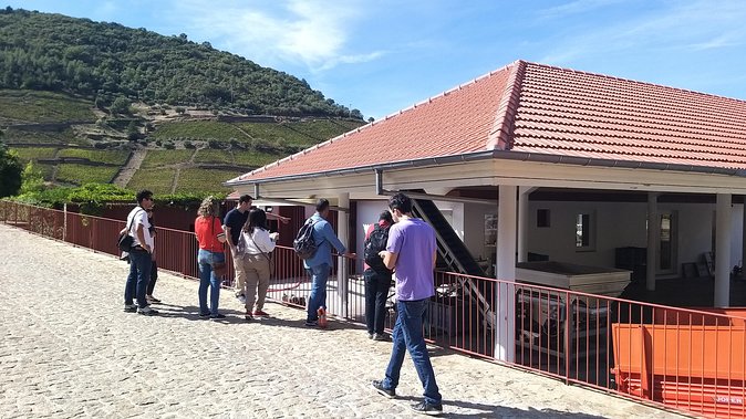 Private Tour to the Rock Art of Côa Park, Pinhão and Winery - Meeting and Pickup